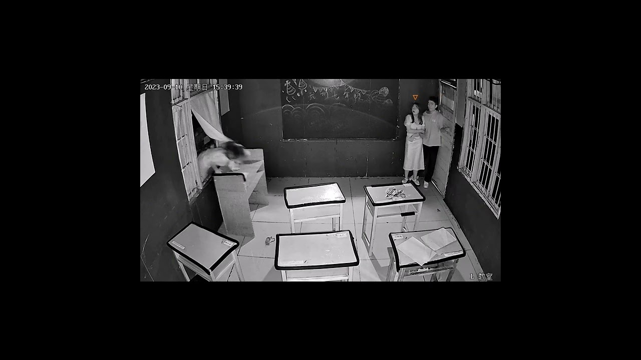 Real Ghost Caught On Camera 💀#ghost #ghostreaction #hauntedhouse #scary #shorts #funny #paranormal
