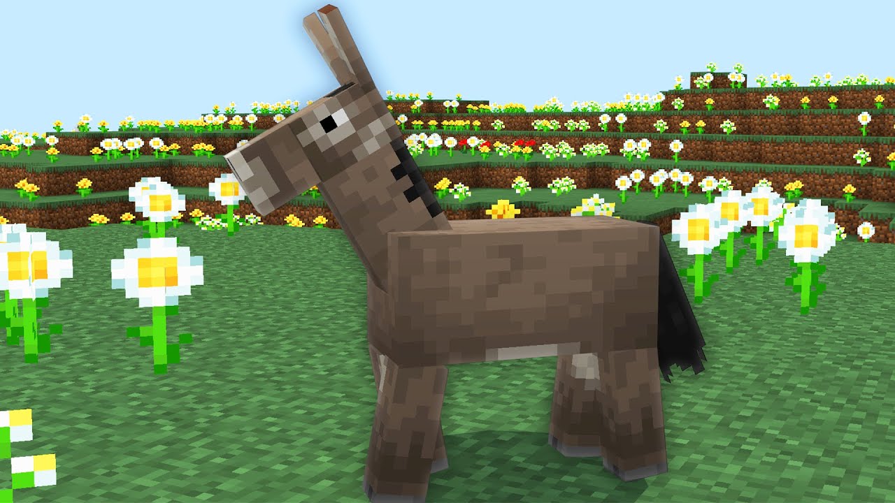 i look like this donkey