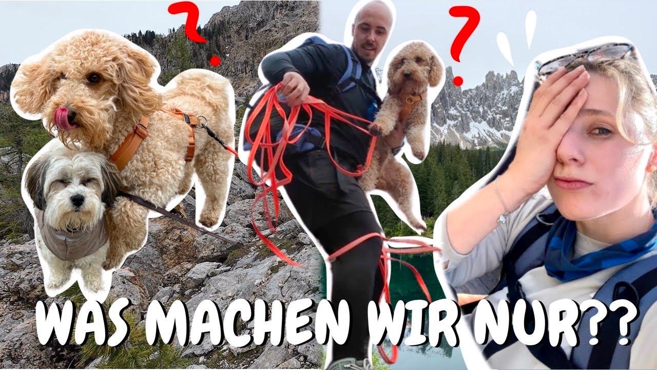 VERIRRT im LABYRINTH von LATEMAR I WanderVlog am Karersee