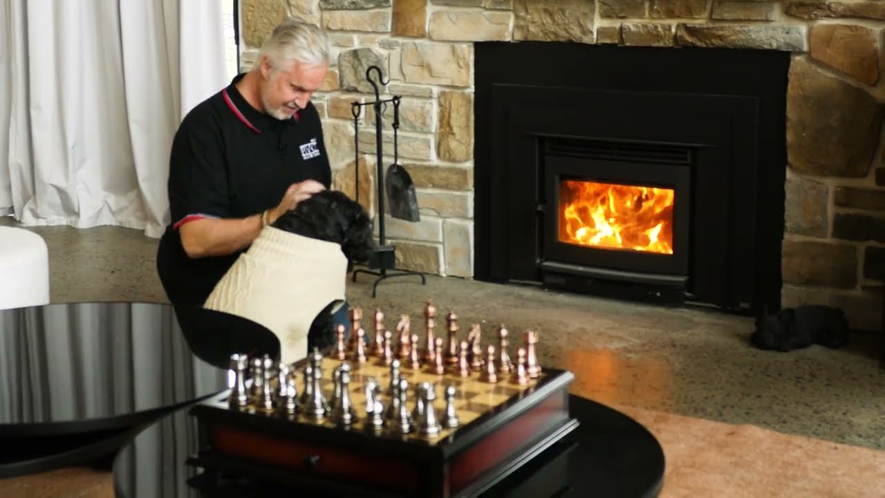 Keep Your Pets Safe with the Pacific Energy Insert Fireplaces