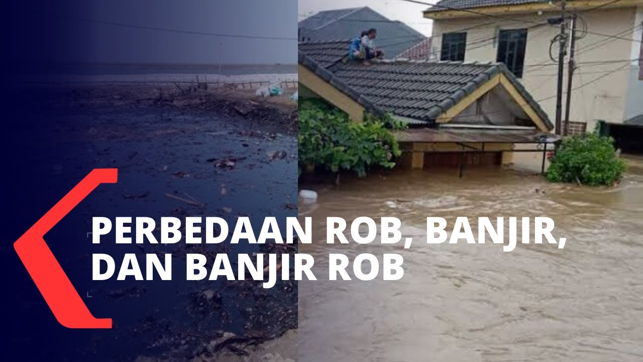 Selasa Bahasa: Apa Bedanya Rob, Banjir, dan Banjir Rob?