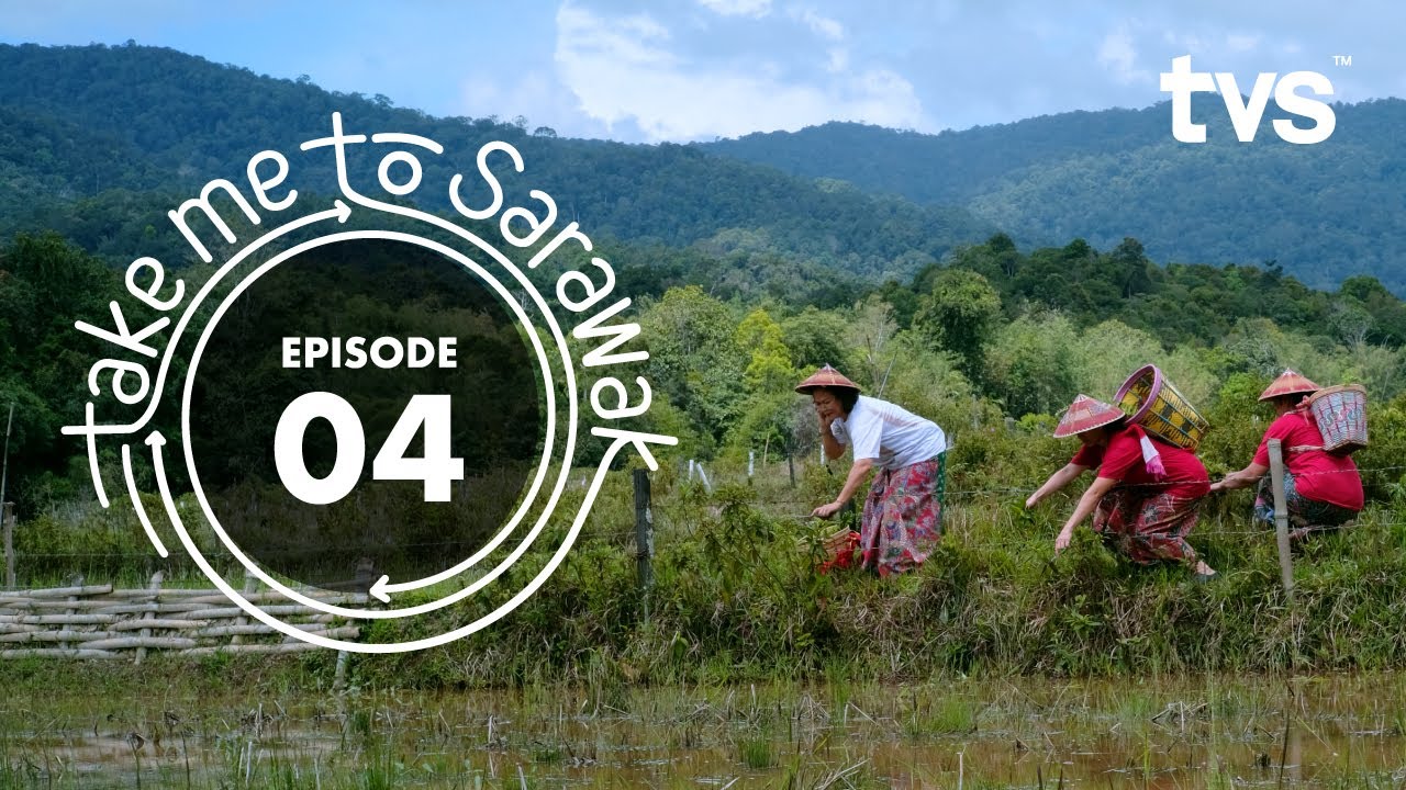Rice Coffee, Salt Mine & Eco-Printing in Ba'kelalan | Episode 4 - Take Me To Sarawak