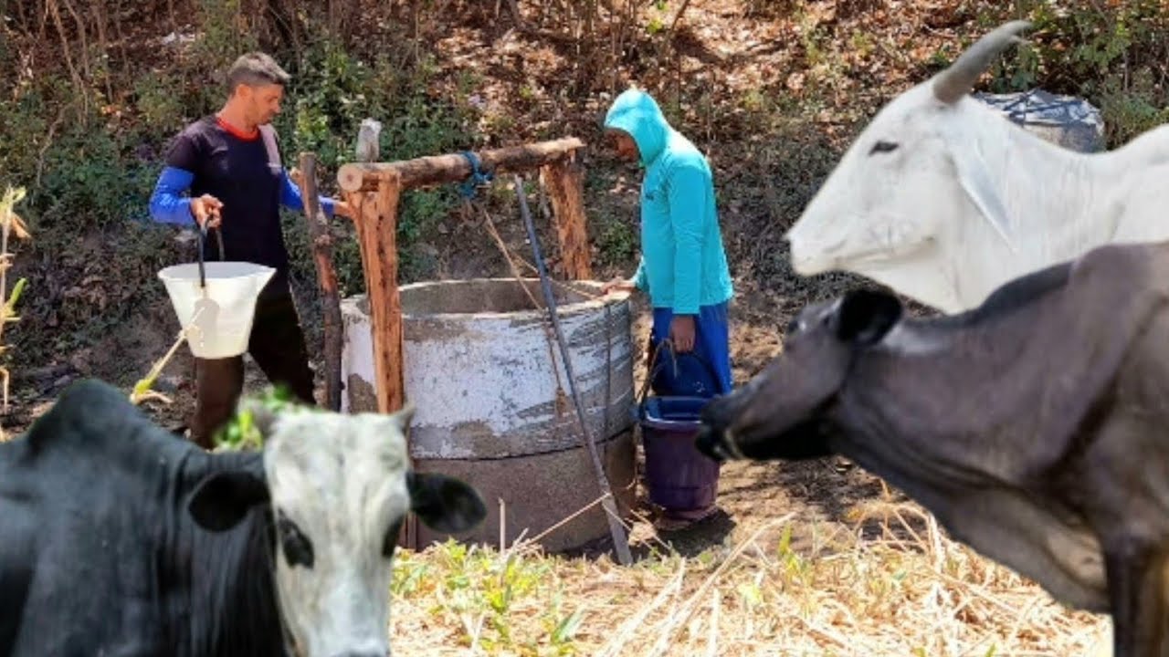 A SECA NO SERTÃO PARAÍBANO TA CASTIGANDO 