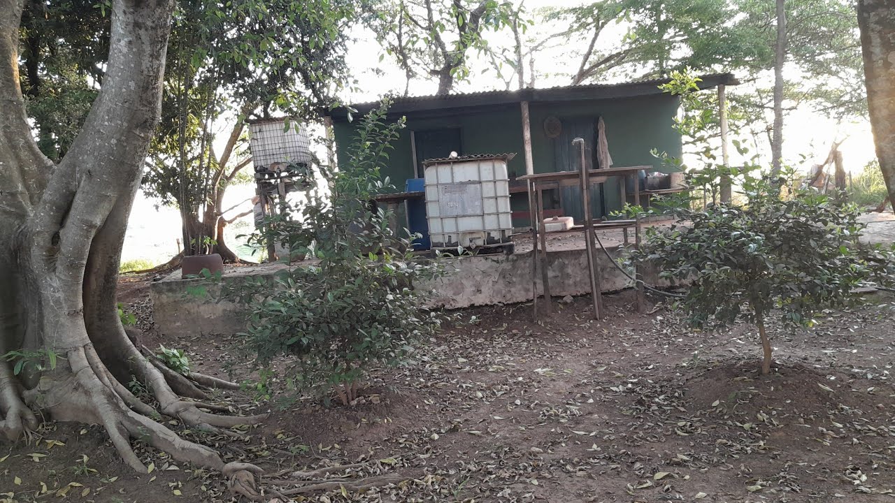 Conheça a Foz do rio Mogi Guaçu