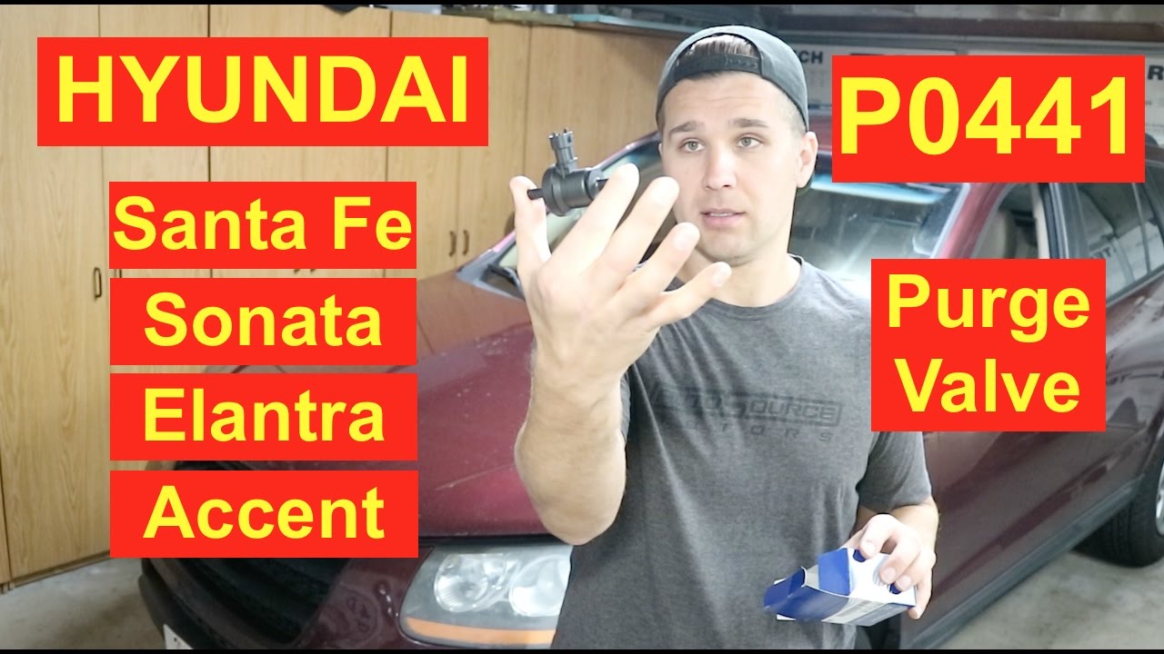 How to Hyundai Santa Fe Sonata Elantra Access Purge Valve P0441