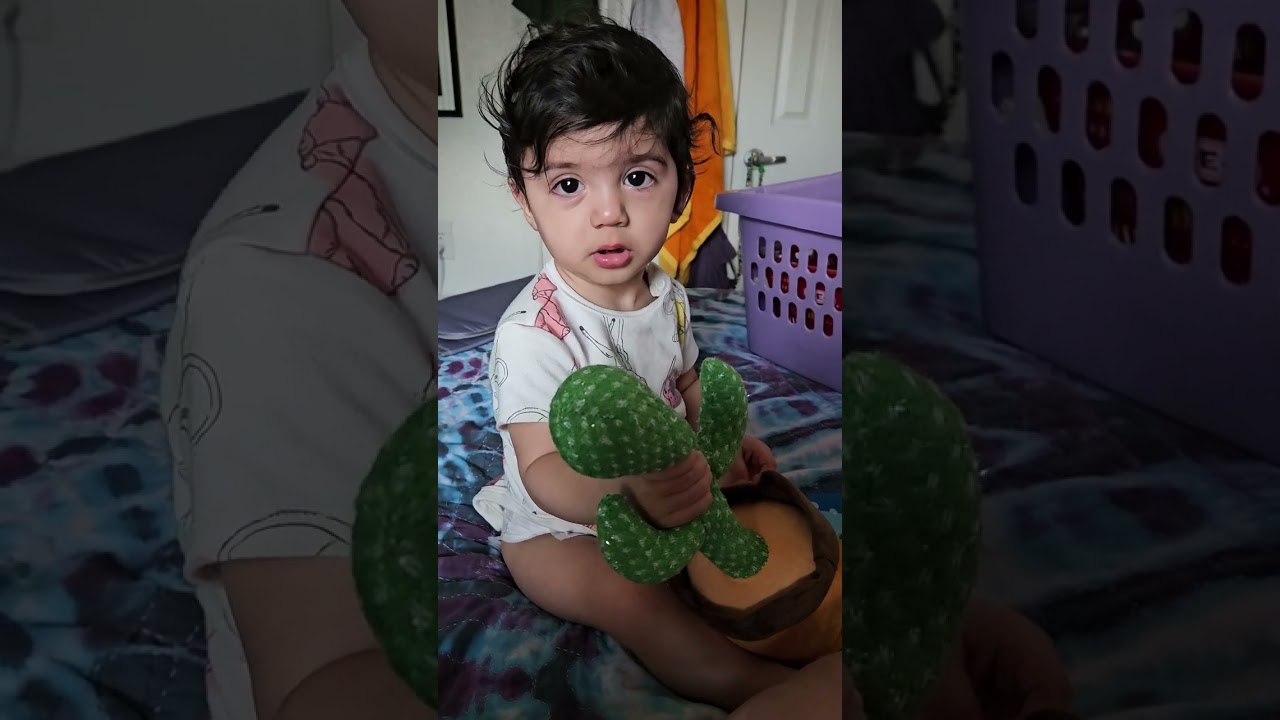 Xavy's first experience with the dancing cactus!