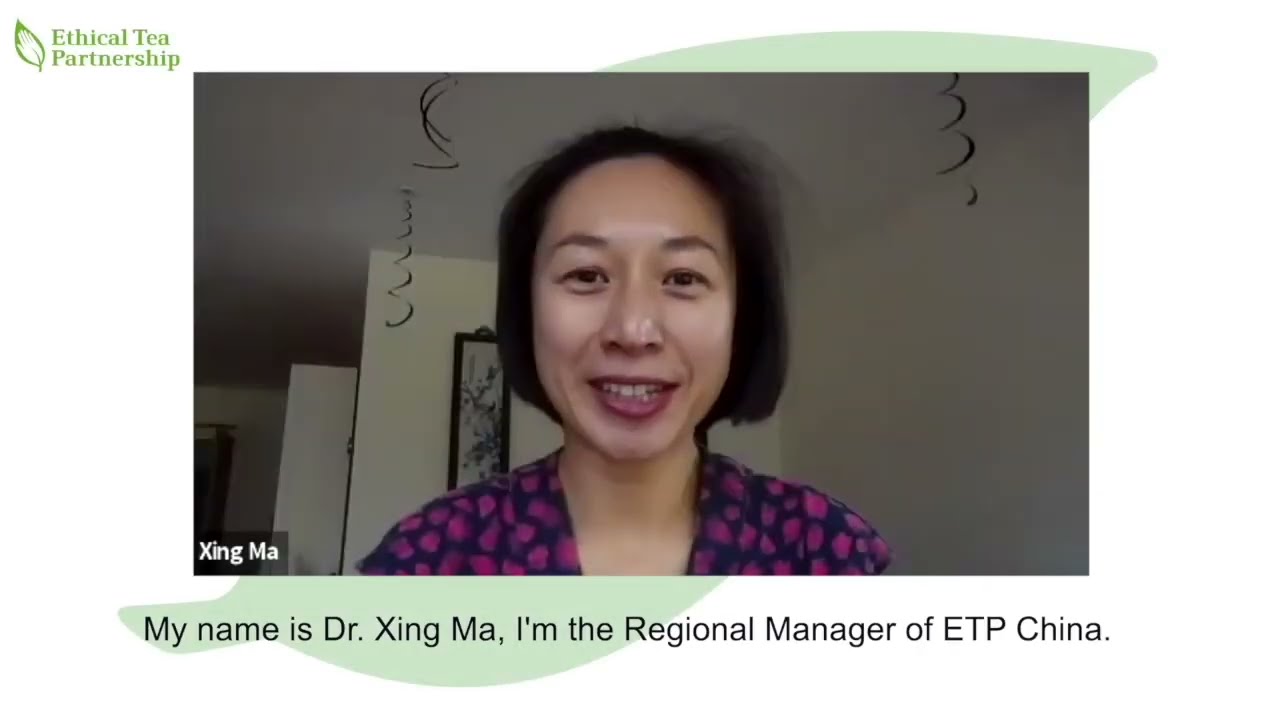 Insights from ETP’s expert regional team: China