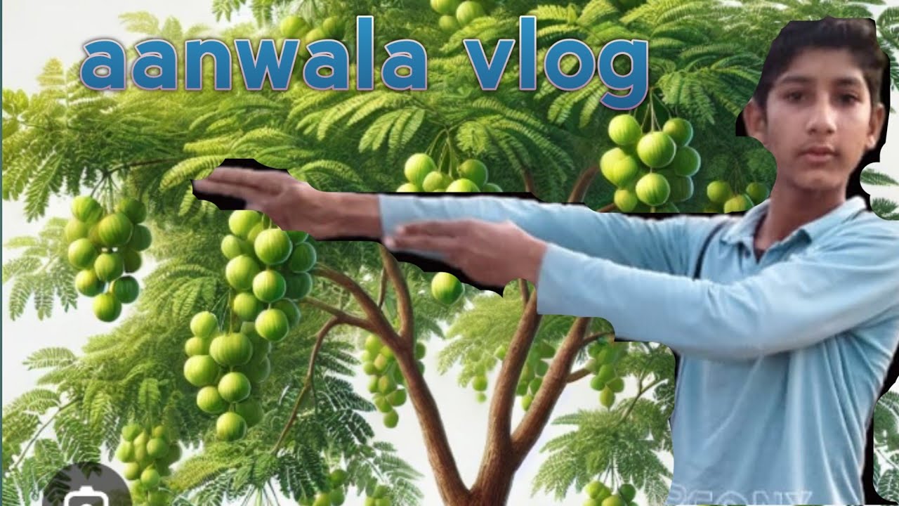 Vlog video sachin 7084