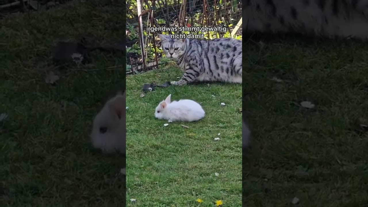 Könnt ihr euch daran noch erinnern?😂 