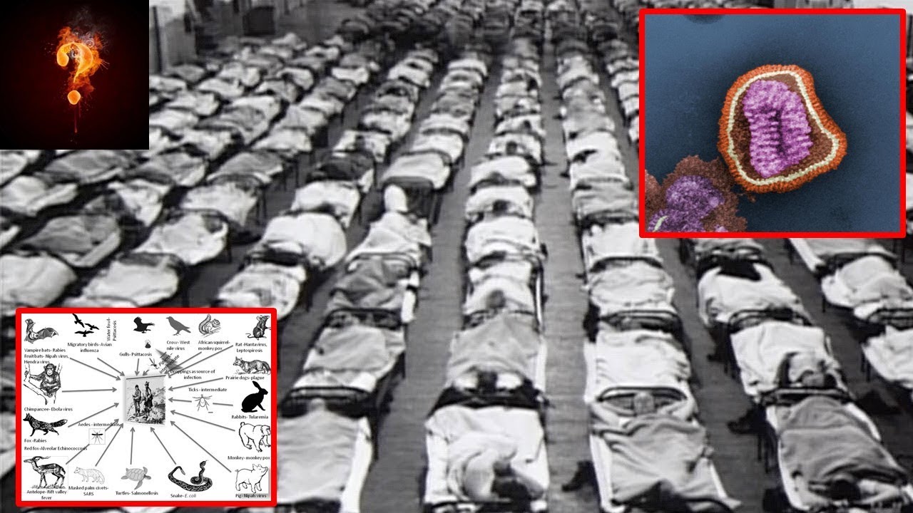 Ancient Pandemics That Nearly Wiped Out Humanity?