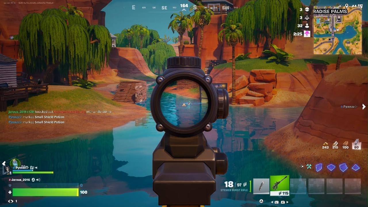 Fortnite s petou