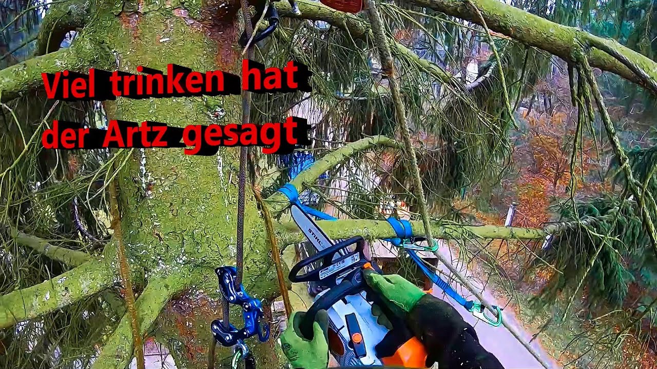 Man ist die Stihl durstig I Speedline und Akimbo I Bades Baumdienst
