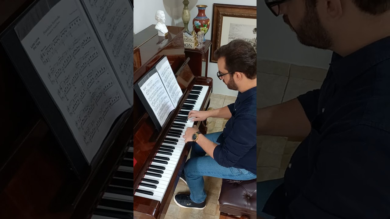 Sérénade Franz Schubert 