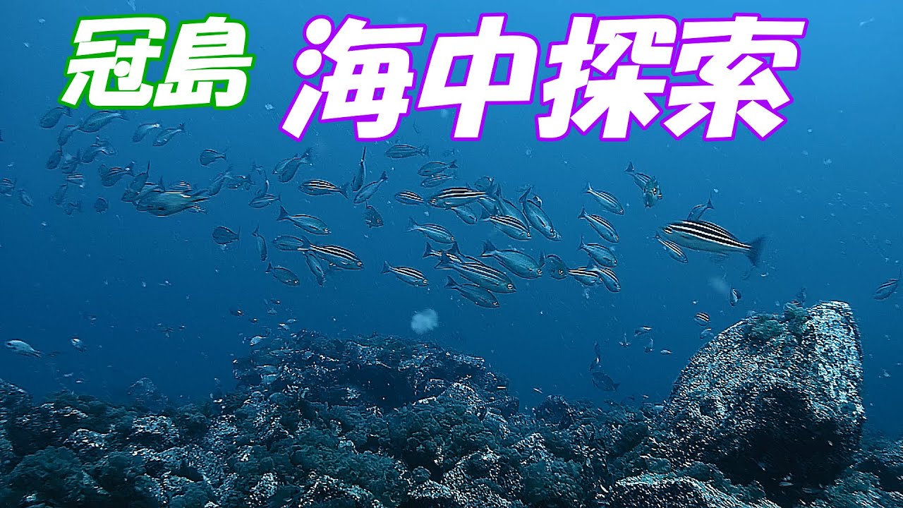 【舞鶴】冠島（かんむりじま）で海中探索してきた！【GLADIUS MINI】