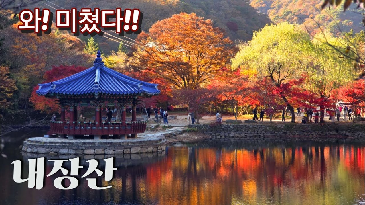 자막(subtitles)On/단풍을 보는 순간 튀어 나오는 한 마디. 