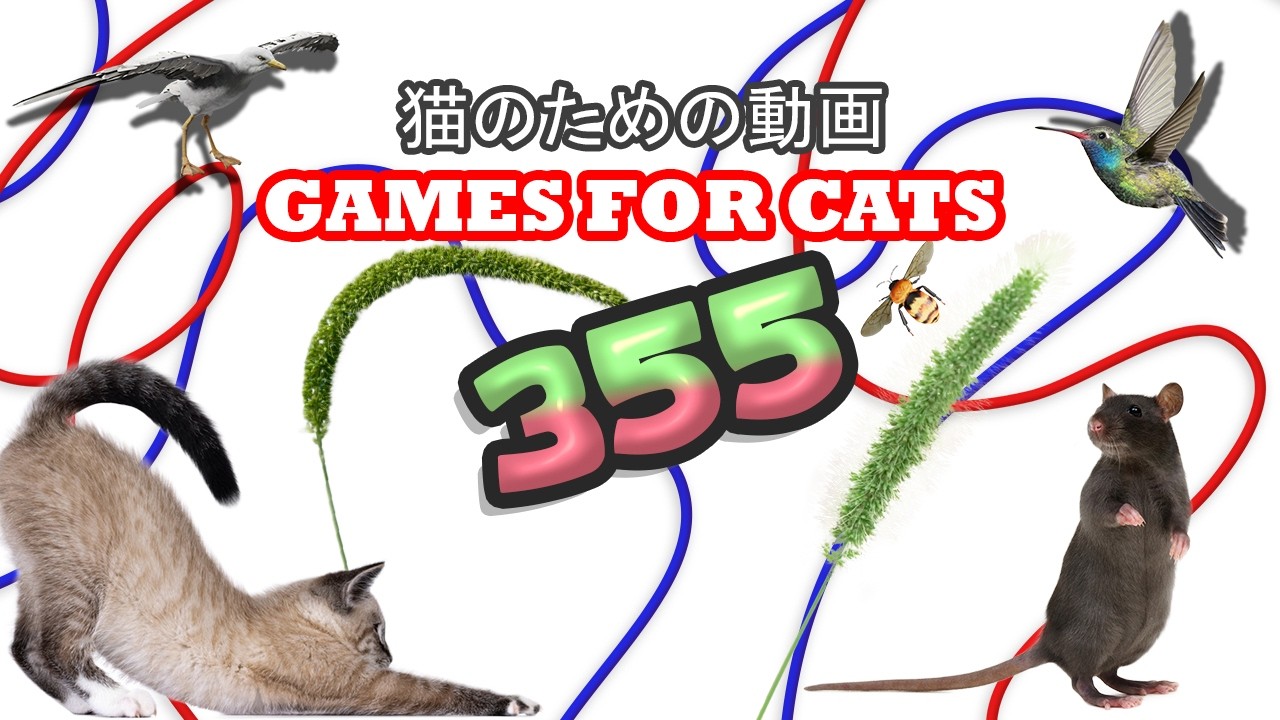 CAT GAMES 🐾 3DキャットTVリアルハンター – ネズミ狩り・トカゲ追跡・小鳥ダッシュ 😺 | 猫用 8時間 4K60FPS