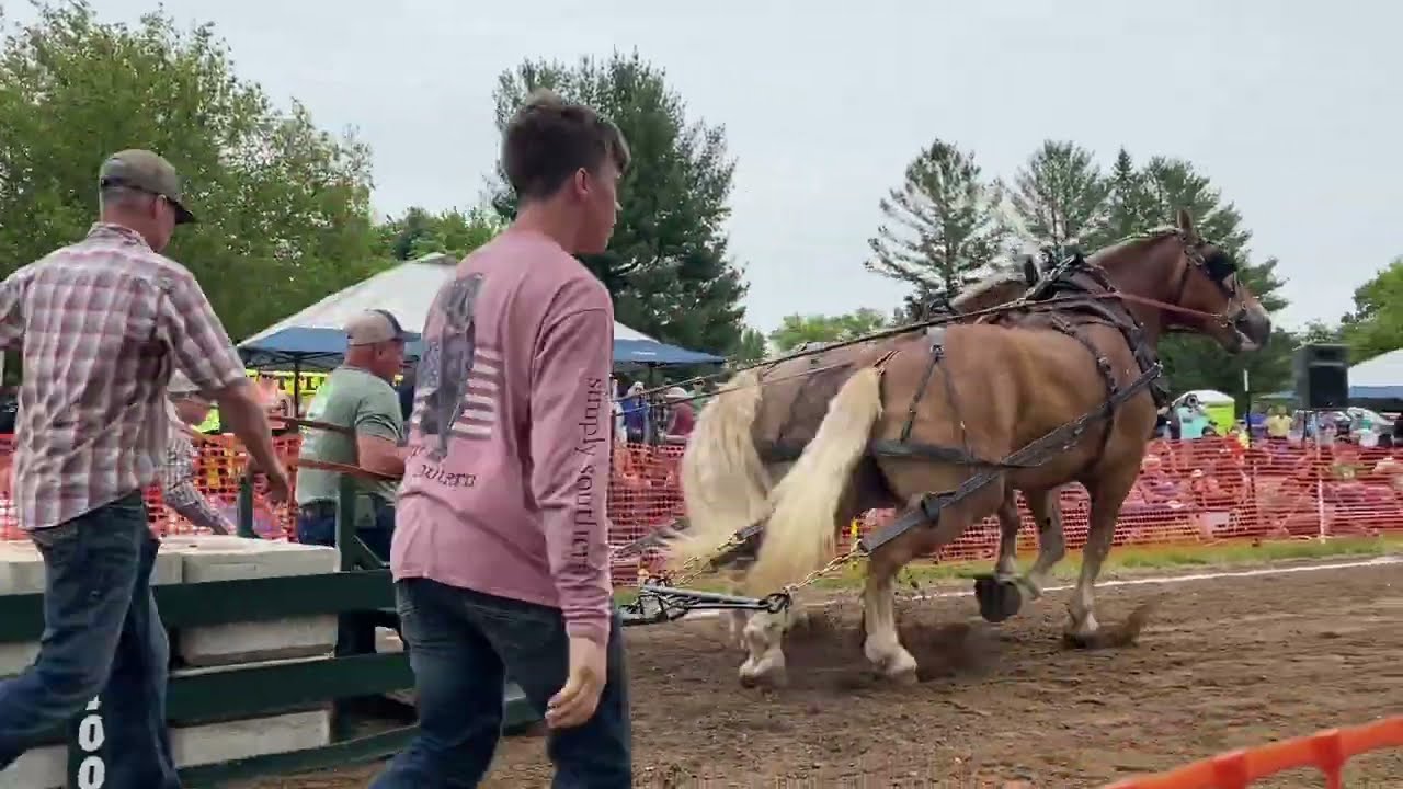 fountain horse pulls 2024