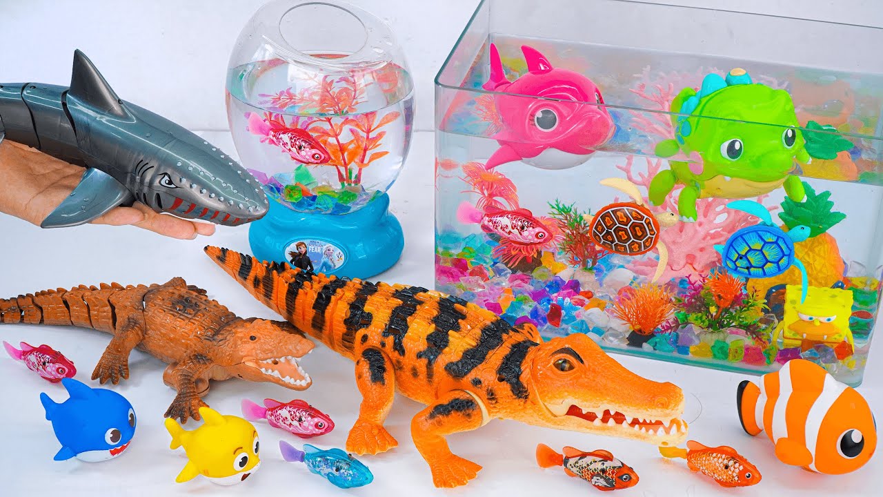 [toy asmr] Robo Killer Whale Playset & Zuru Alive Aquarium ASMR Satisfying with Unboxing Review Toys