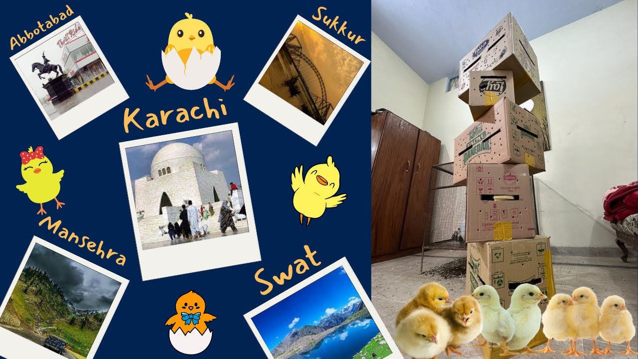 50 Chuzay 1000 Kilometer Ka Safar 🐥😱🤯