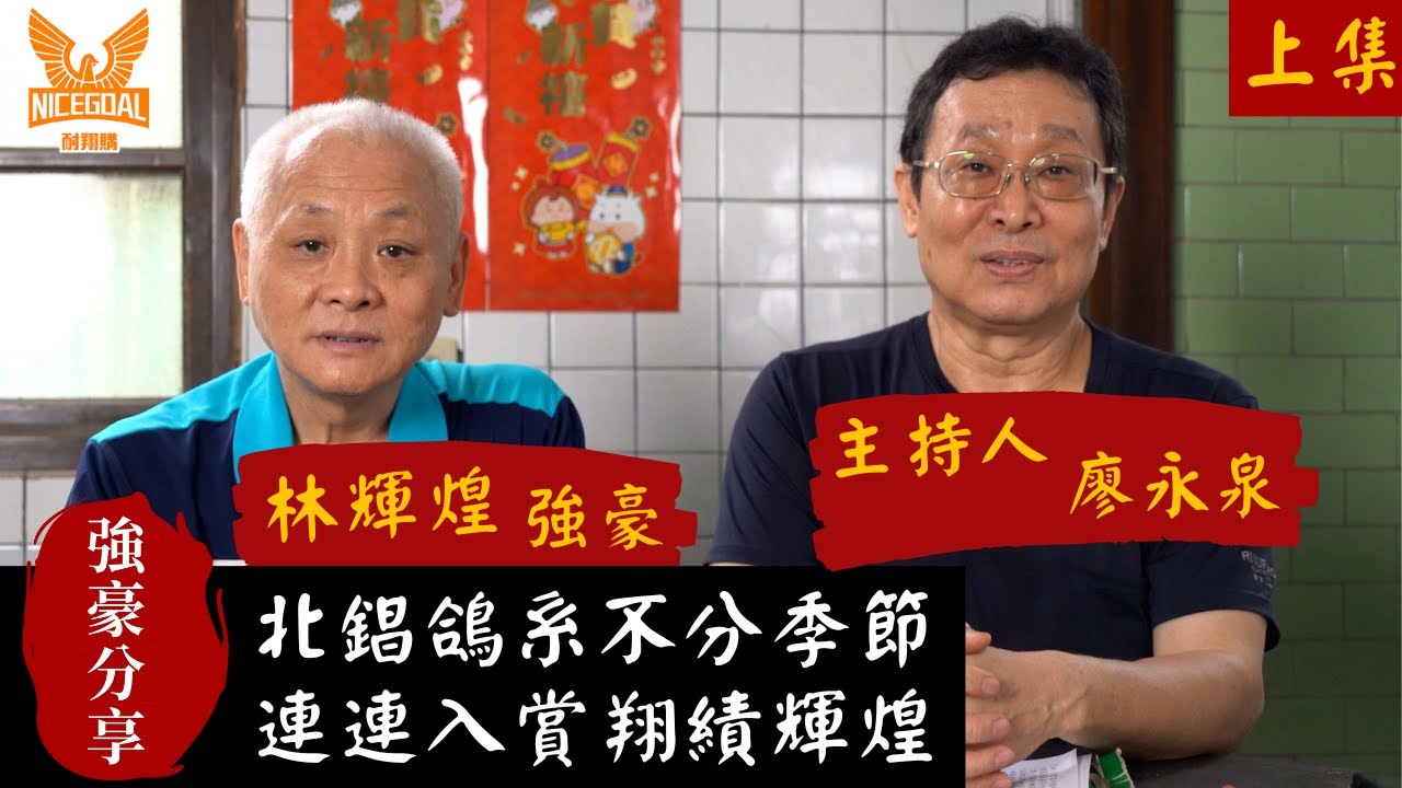 【強豪分享】北錩鴿系不分季節，連連入賞翔績輝煌，北錩鴿舍林輝煌(上集)｜耐翔購