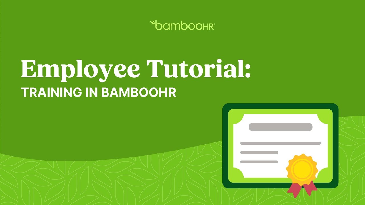 Учебное пособие для сотрудников: обучение работе с BambooHR