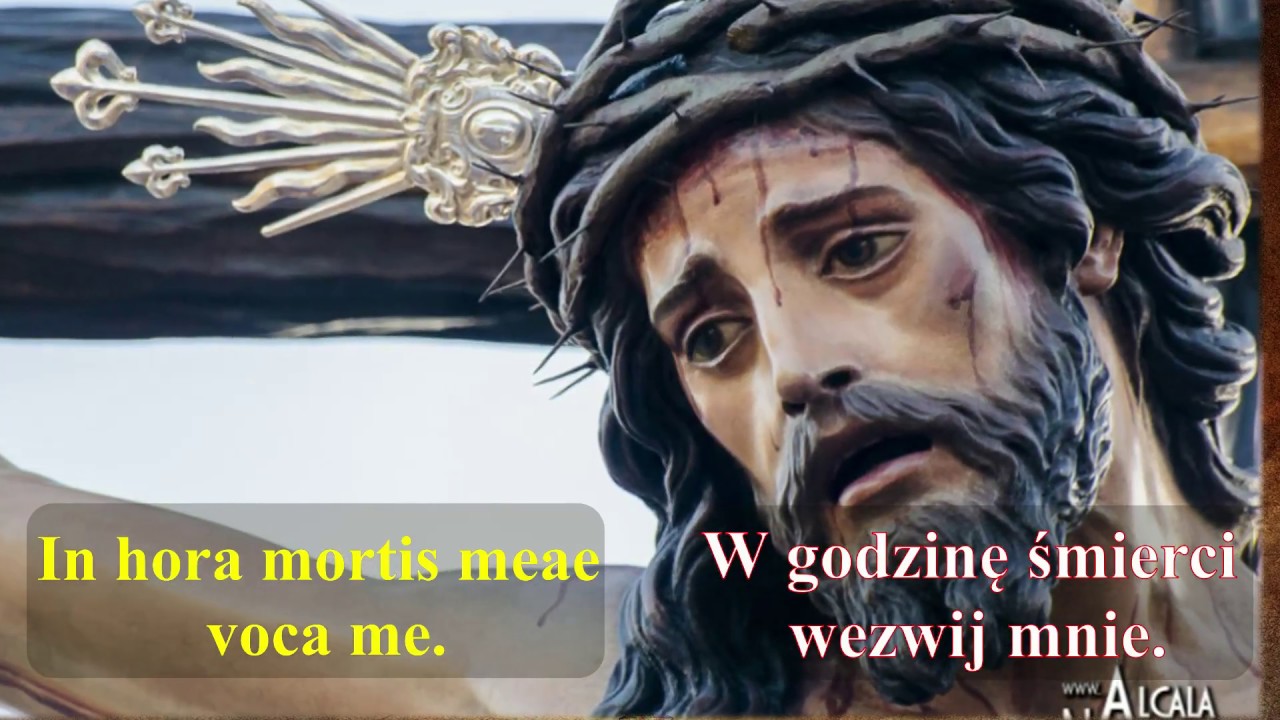 ANIMA CHRISTI 💗 DUSZO CHRYSTUSOWA (pieśń pasyjna, eucharystyczna, tekst - łacina/polski)