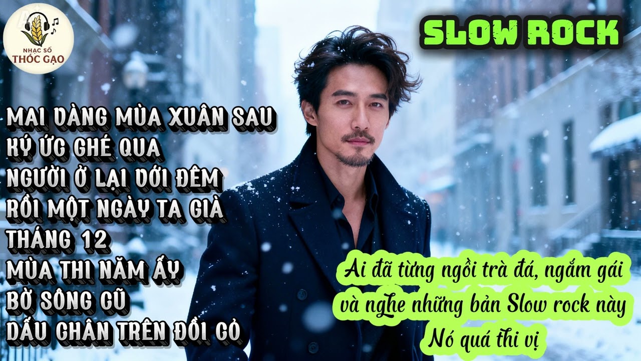 🎸SLOW ROCK TUYỂN CHỌN -  KÝ ỨC GHÉ QUA| Nhạc Số Thóc Gạo #slowrock #rockballad #softrock
