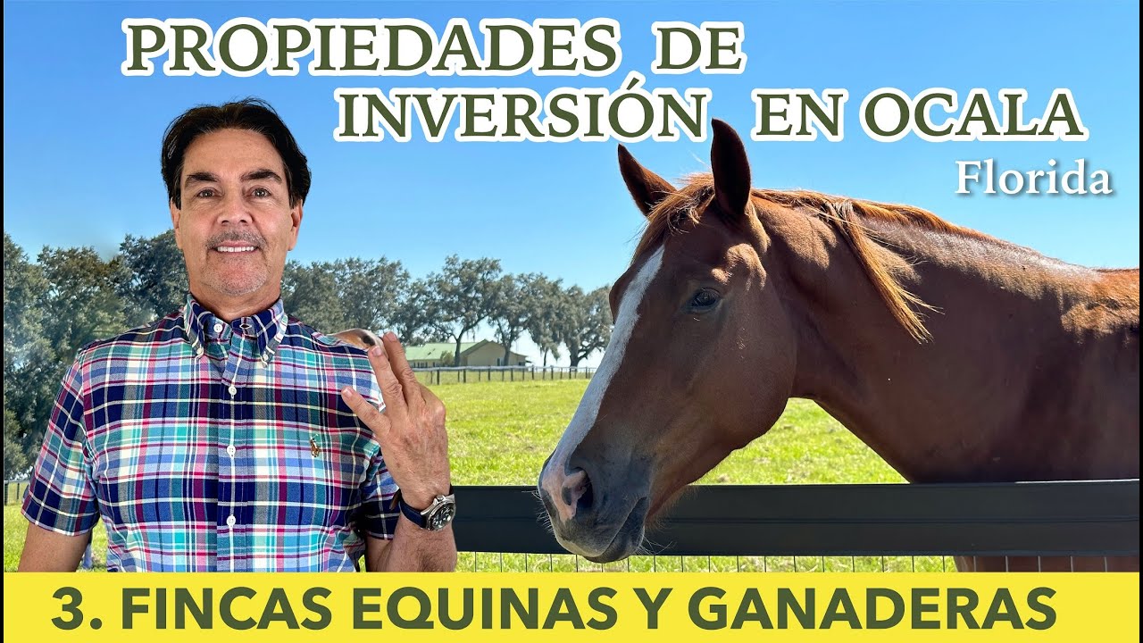 FINCAS EQUINAS y GANADERAS, un secreto de inversión muy bien guardado...