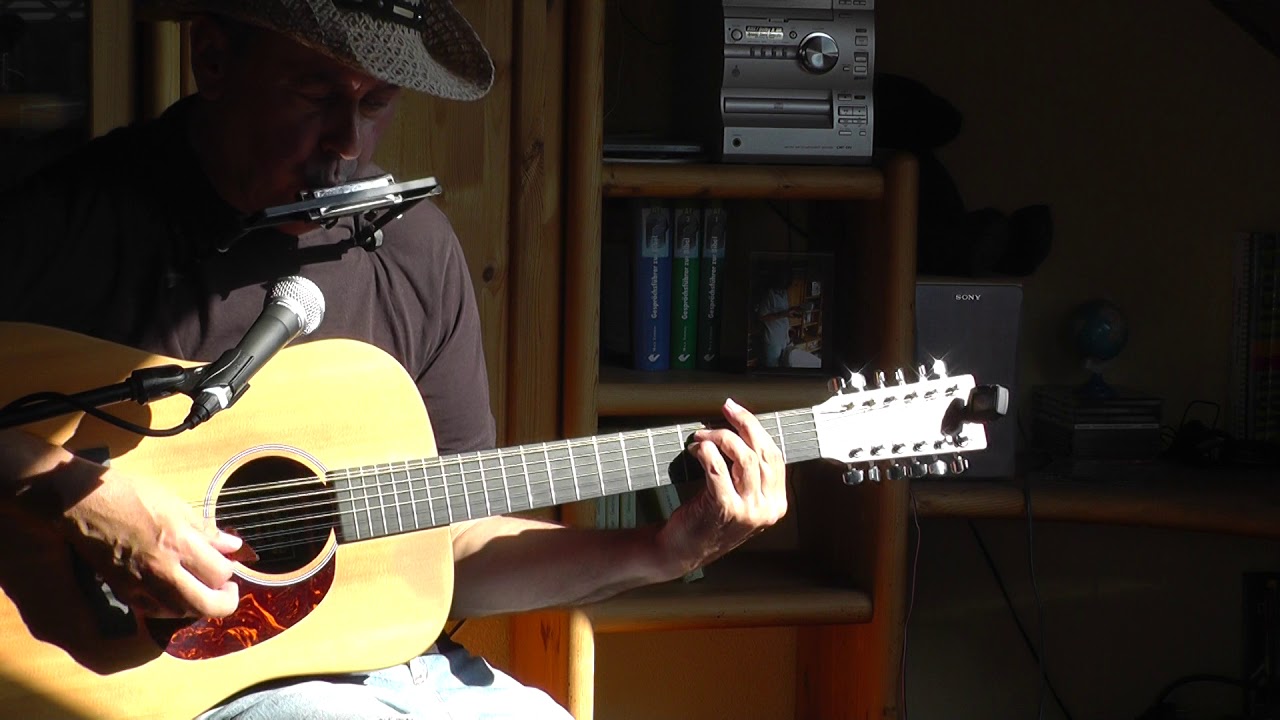 Take Me Home, Country Roads - John Denver (cover: harmonica/12 string)