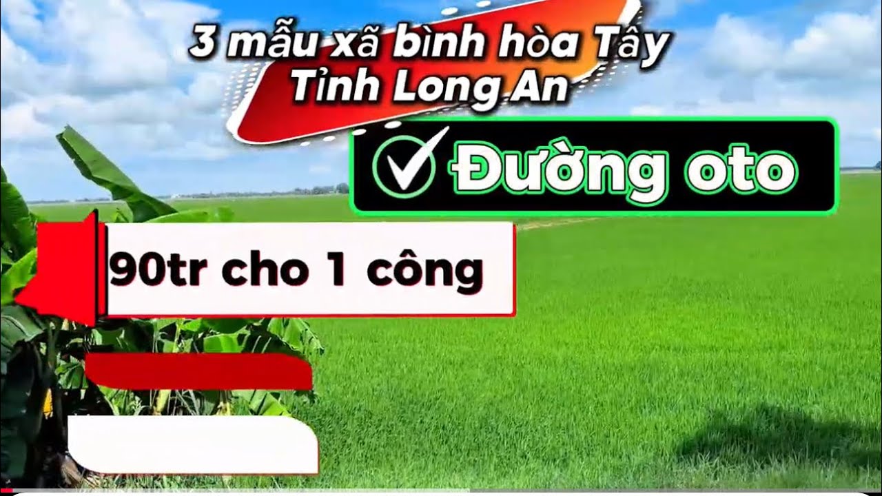3 mẫu xã bình hòa Tây tỉnh Long An mặt tiền ô tô 90tr 1 công lh 0858355218