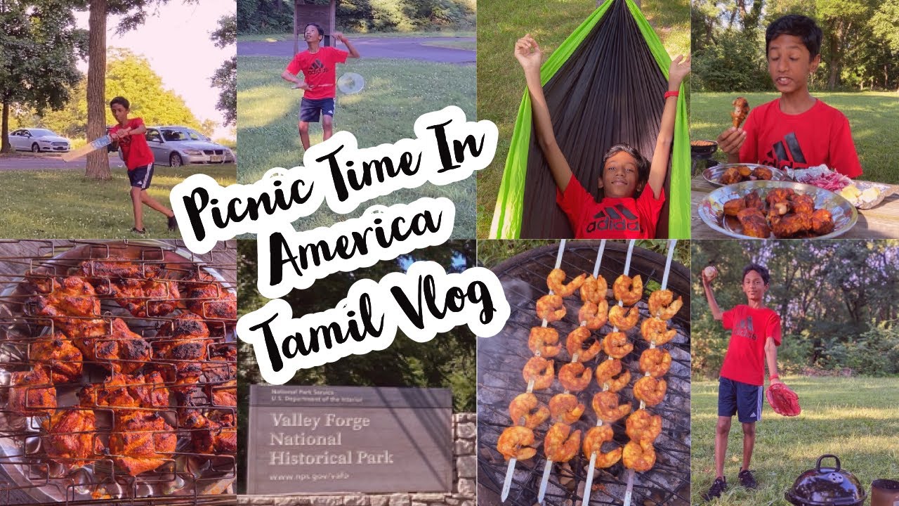 🍗🌽🏏அமெரிக்காவில் பிக்னிக் | Picnic In America ⚾️🏸🍤