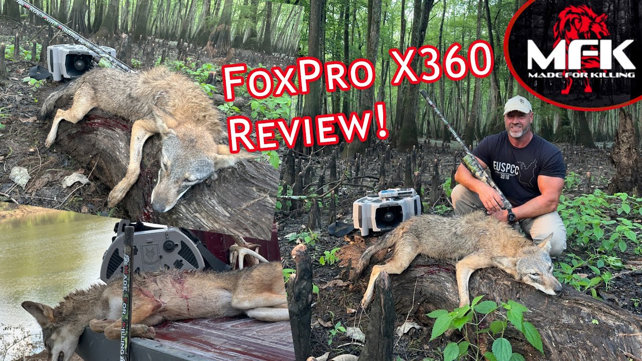 Отношения любви и ненависти с FoxPro X360! Мир или провал!? Обзор и тестирование FoxPro X360
