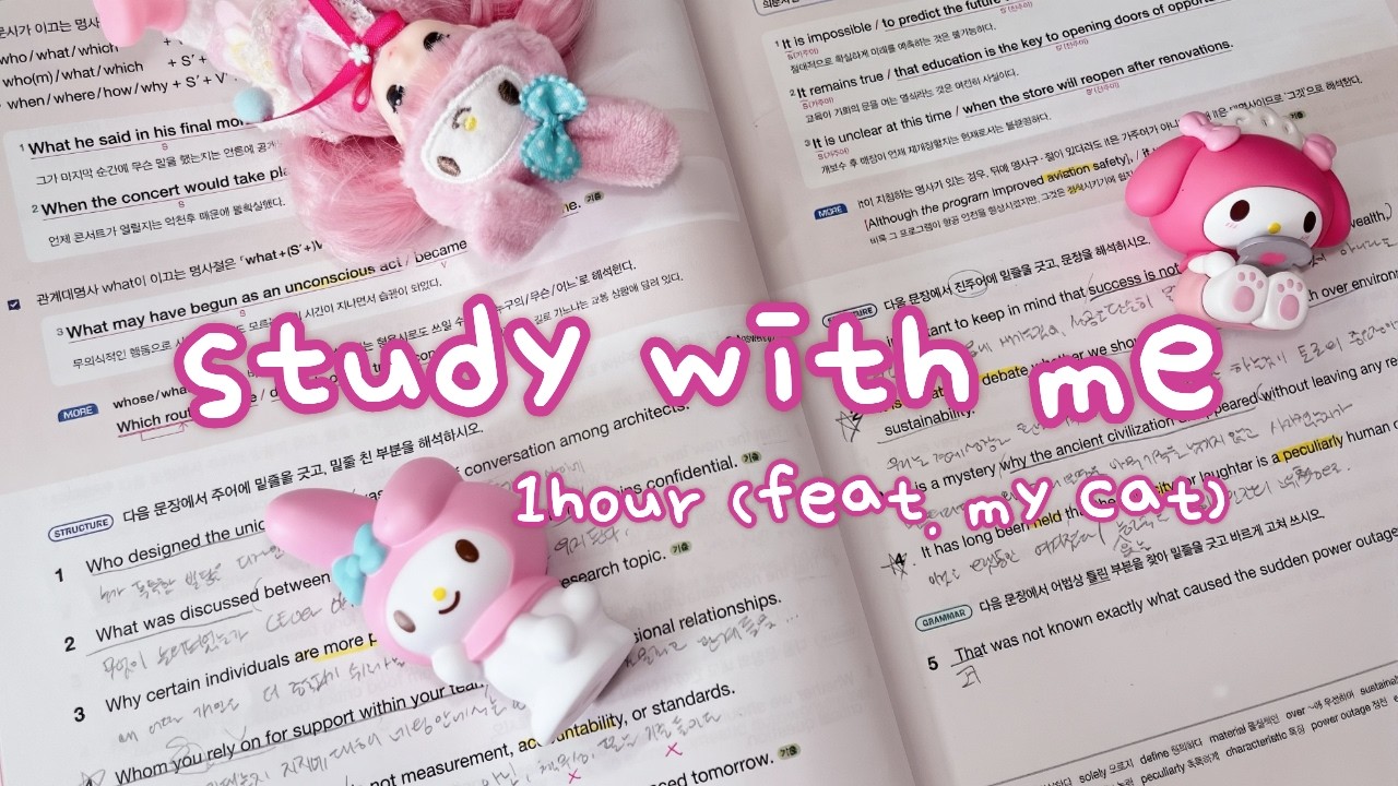 1시간 모닥불 소리와 함께하는 스터디윗미 | 1HR Study with Me, No Break | Fire Crackling Sounds