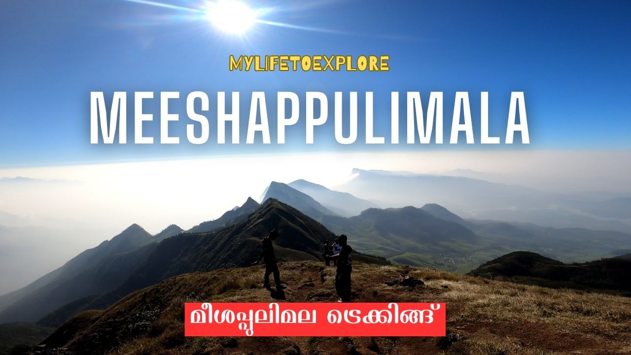 മീശപ്പുലിമല ട്രെക്കിങ്ങ്_Meeshappulimala Trekking. #trekking #trek #keralatourism #munnar #tourism