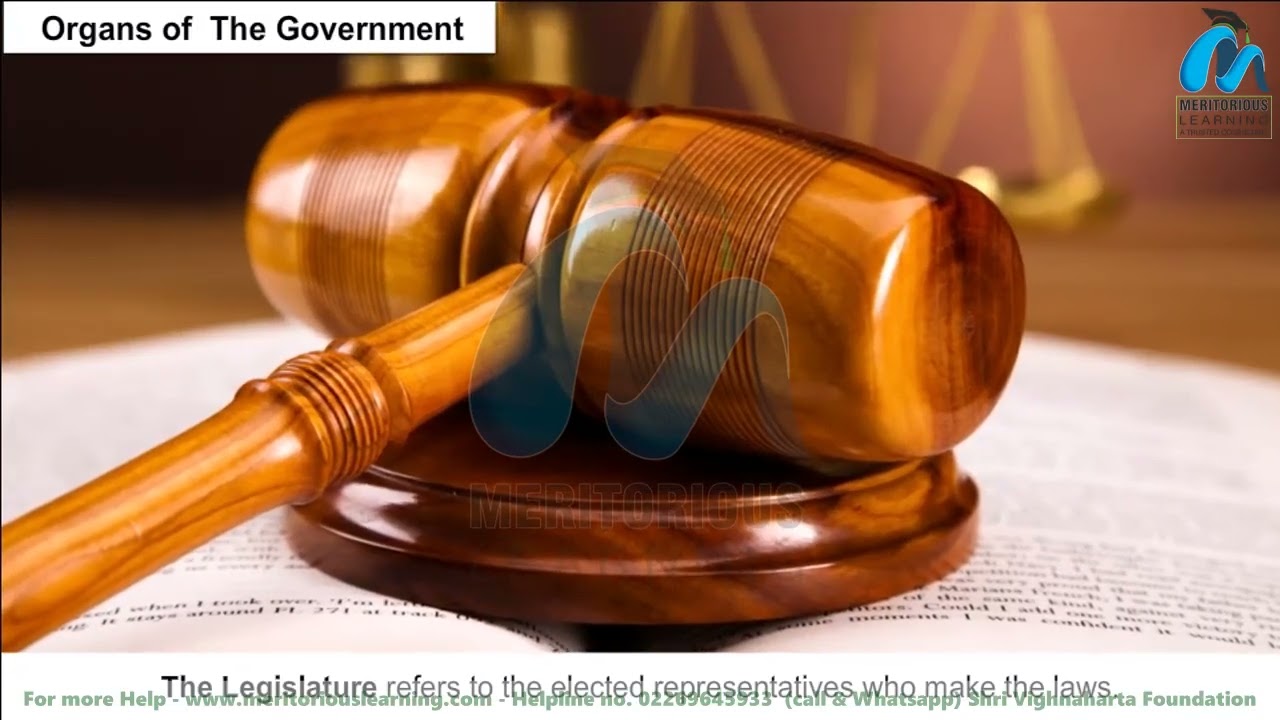 Class 8th  SOCIAL SCIENCE  |   The Indian Constitution  | English Medium | Meritorious Learning
