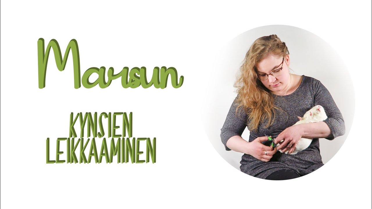 Marsun kynsien leikkuu - opasvideo
