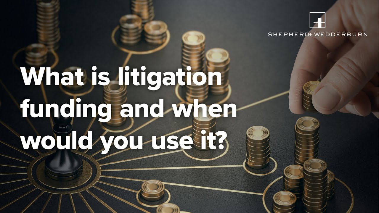 Litigation funding series: Part 1
