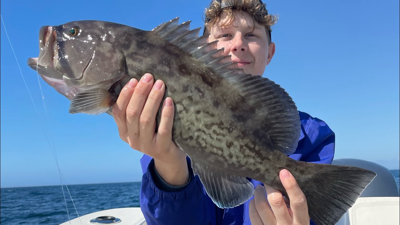 Offshore fishing Panama City beach Florida (New species) slow pitch jigging