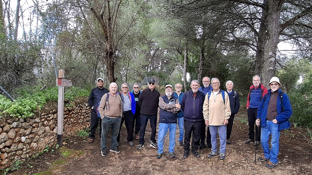 2025-02-04_de Son Sardina a la Font de Mestre Pere