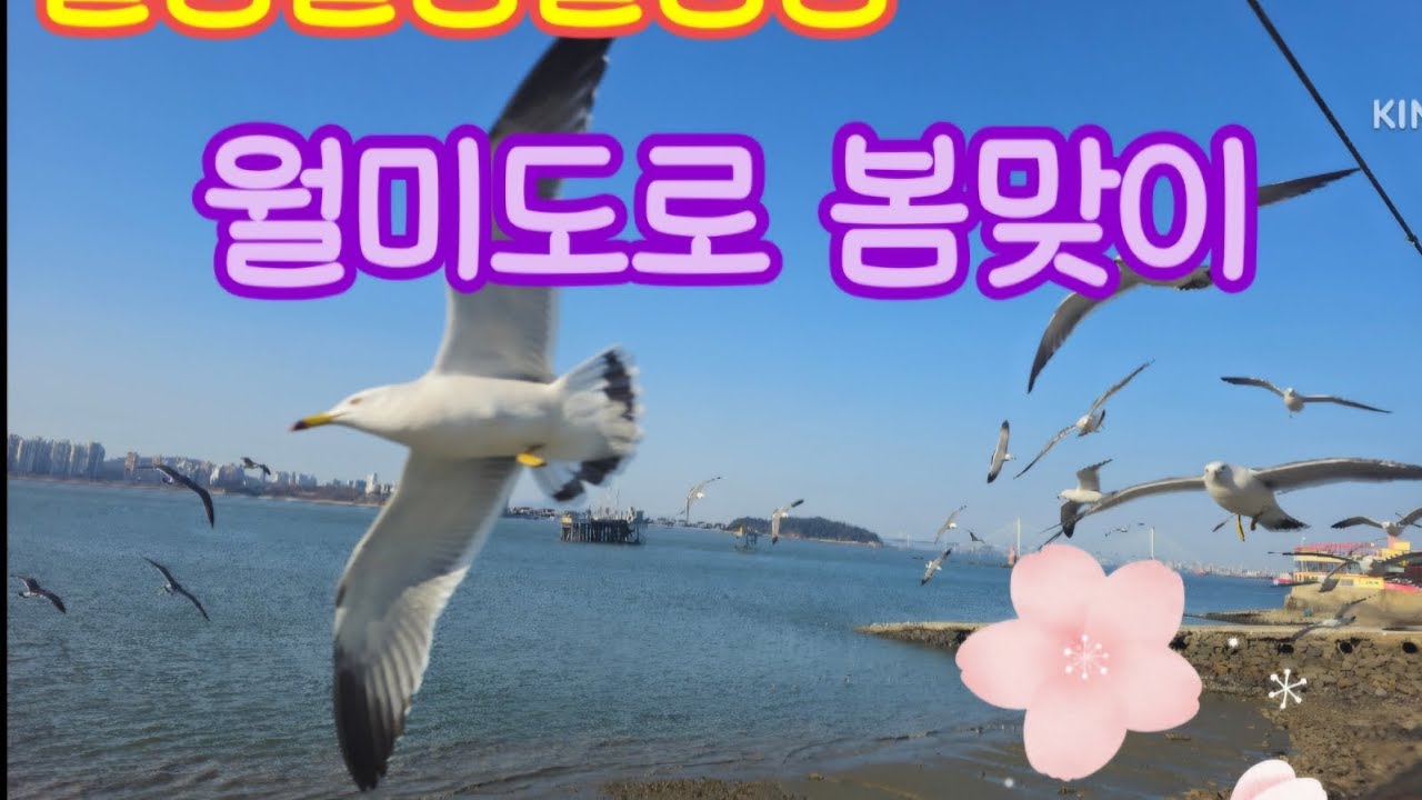 설렁설렁설렁탕 월미도