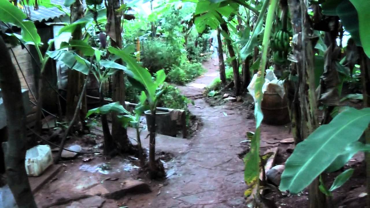 Baracoa (Cuba) - 2 days in this exotic and completely different corner of Cuba