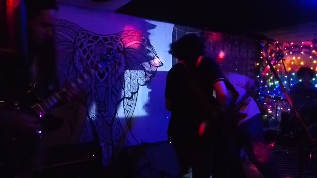 In-Dreamview -  Collisions pt.I (live)