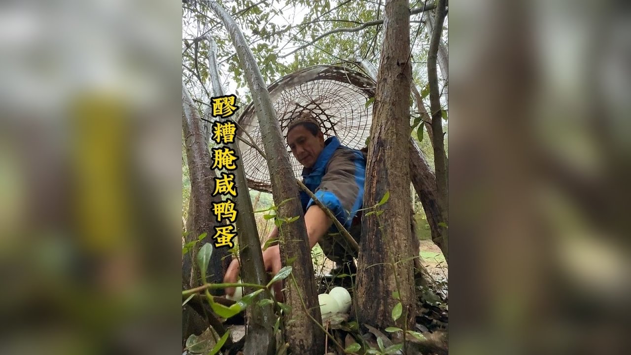 用醪糟也能腌制咸鸭蛋，这个冬天可以实现咸鸭蛋自由了。