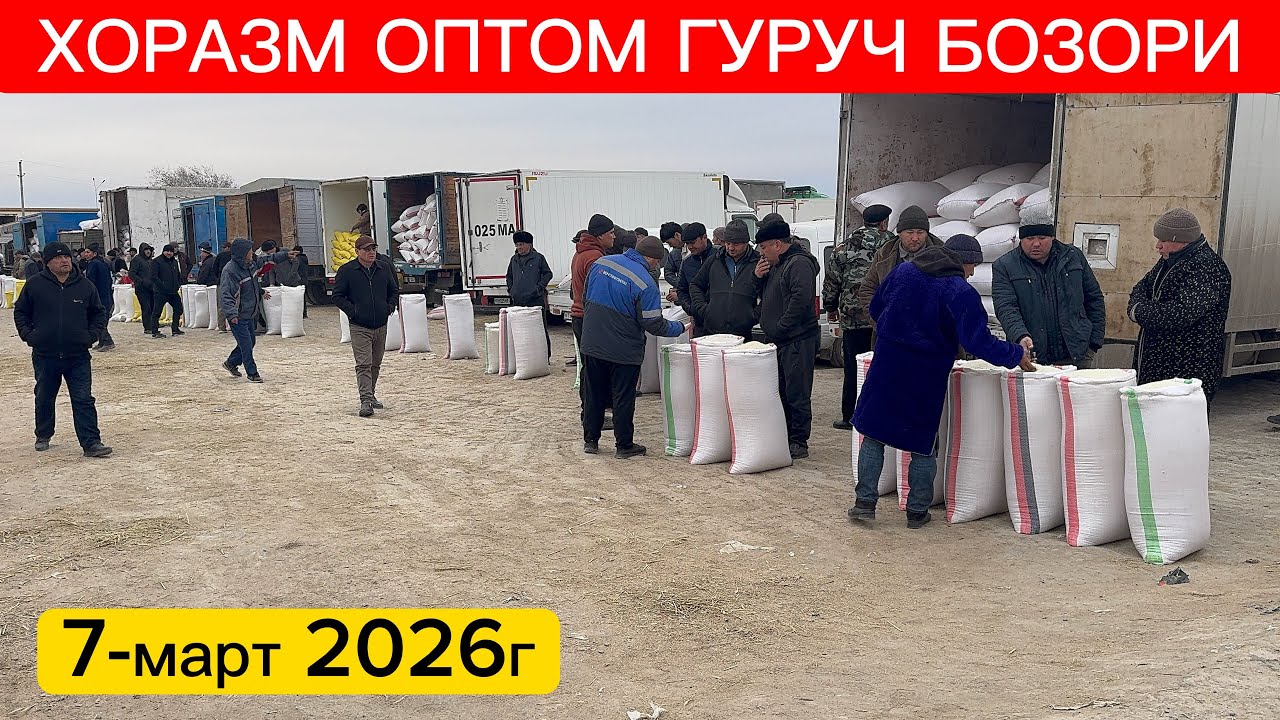 ХОРАЗМ ОПТОМ ГУРУЧ БОЗОР НАРХЛАРИ 7-март 2026г