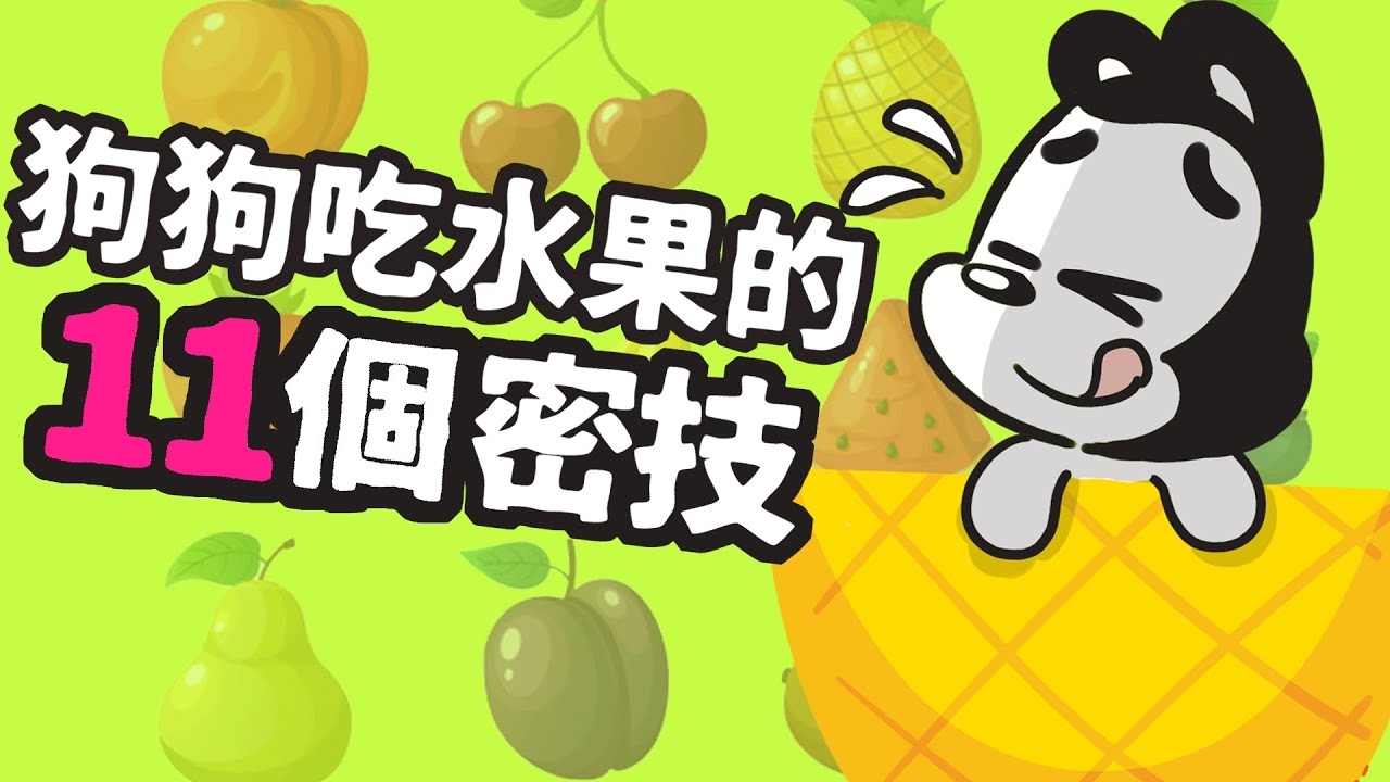 狗與鹿 ｜11個狗狗吃水果的密技  | 狗狗暖知識  | 影片後面有食譜喔！