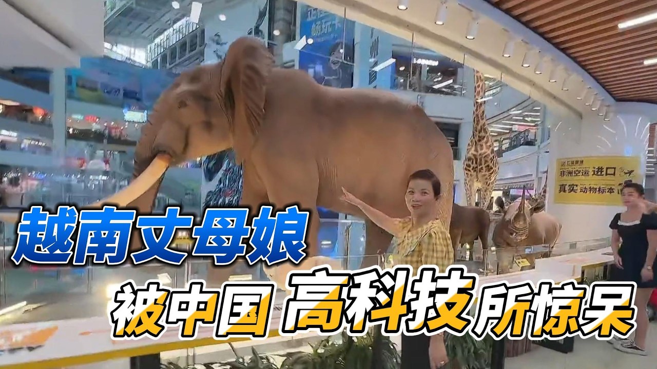 越南丈母娘到中国游玩，被高科技所惊呆，直呼中国人太有钱了