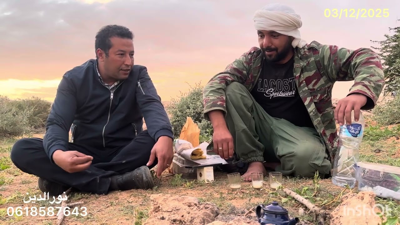أكبر مشروع الشعير المستنبت وسلالة الدمان بالصحراء المغربية 🇲🇦