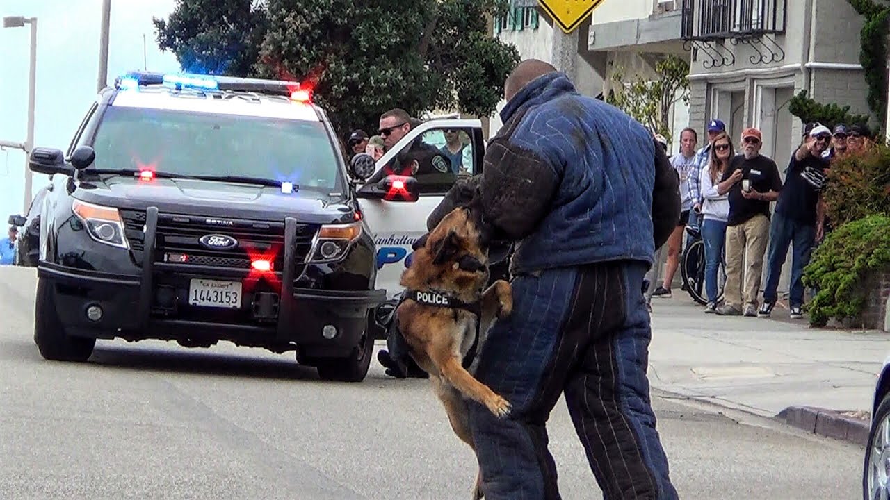 (Demo) Manhattan Beach Police Department SWAT