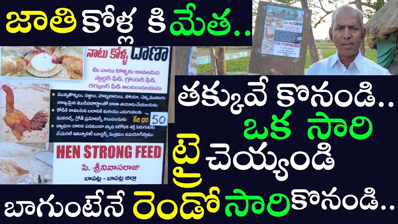 కోళ్ల కి మంచి పోషక విలువలు ఉన్న మేత ఇది..Hen Strong Feed..Jathi Kollu Pempakam..Natukolla Pempakam..