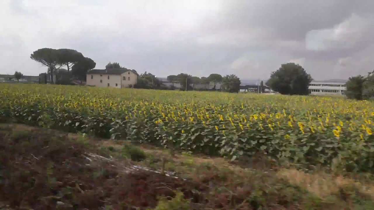 In treno verso #Spello